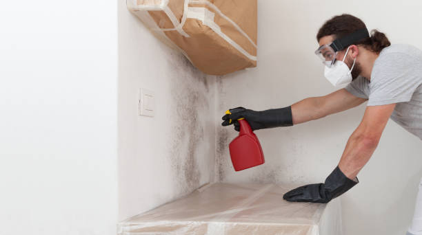 Professional Mold Inspection And Testing technician working in Amityville, NY